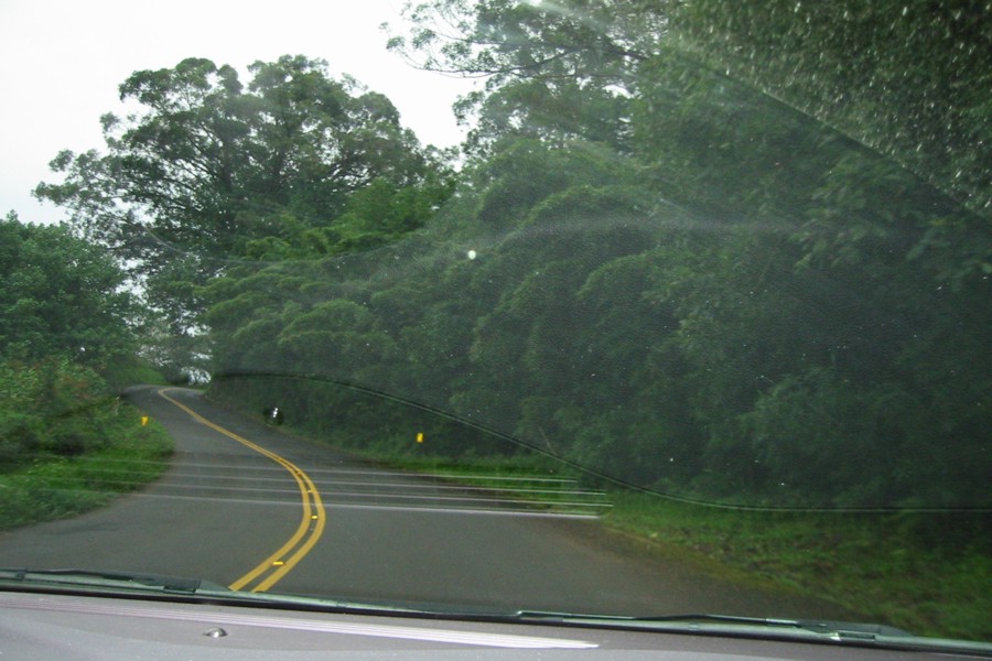 ../image/our favorite day - the road to hana.jpg